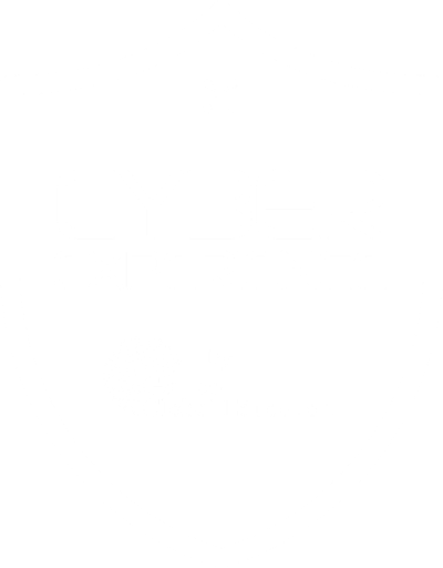 Logo Cyber Experience
